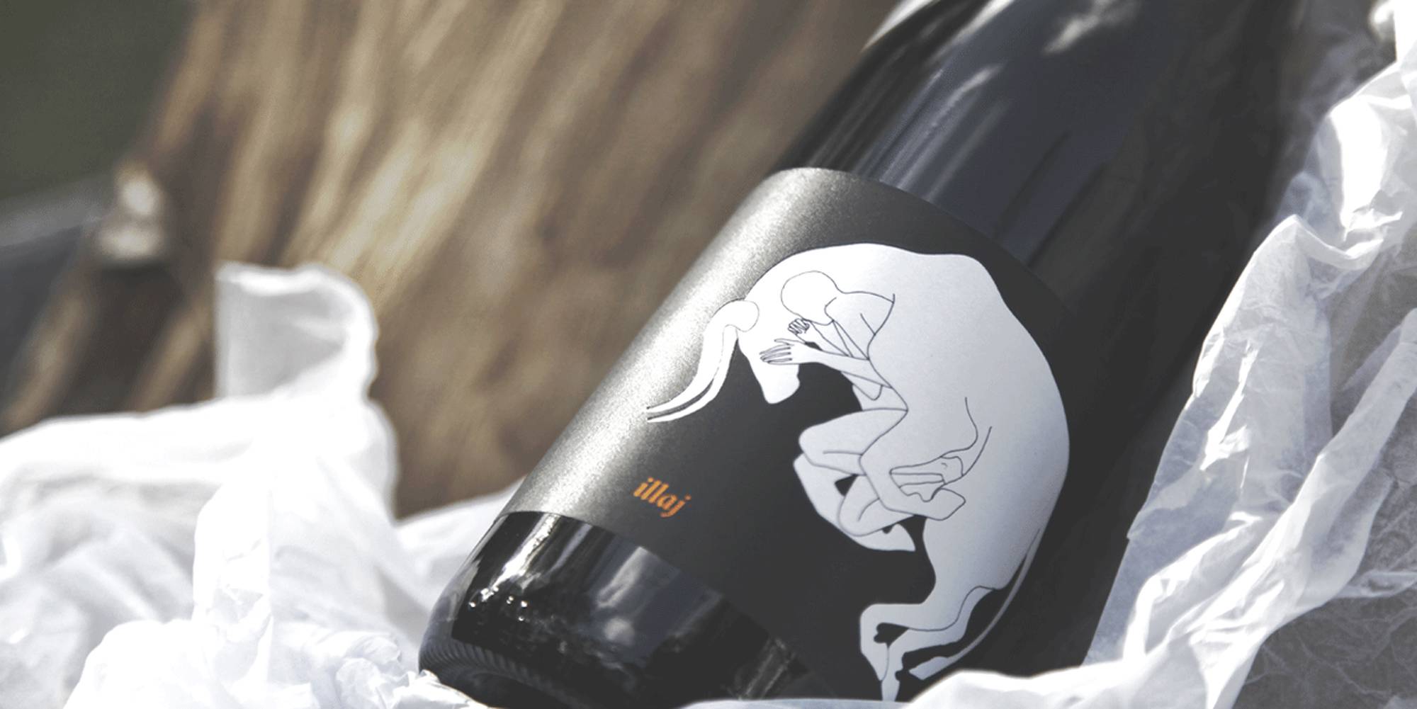 Jamsheed Illaj Shiraz 2015